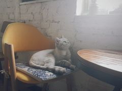 -不舍昼夜咖啡馆