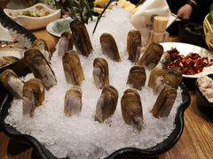 -尚海豆捞(乐虹坊店)