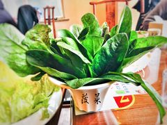 菠菜-竹叶涮肉坊(总店)