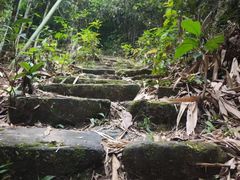 -旗山国家森林公园