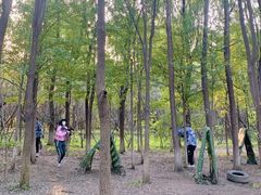 -亲兄弟真人CS团建拓展基地