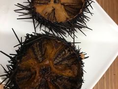 -海胆小馆(东北水饺·春柳店)