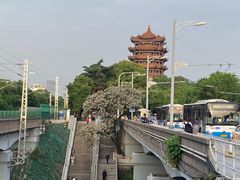 -黄鹤楼公园(黄鹤楼)