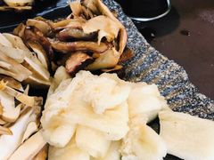 -蘑统田下·野生菌火锅