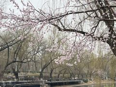 -安定门(地铁站)