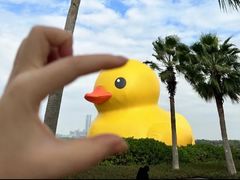 -深圳人才公园
