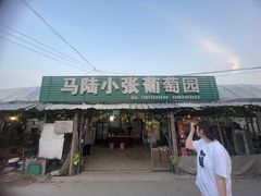 -马陆小张葡萄园农家乐