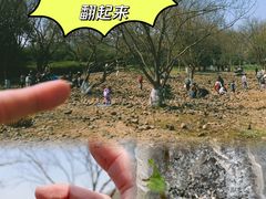 -茅家埠