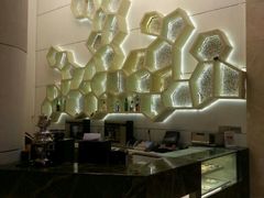 android_upload_pic-上海浦东康桥绿地假日酒店