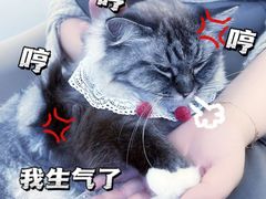 -怪兽屋·羊驼·猫咖·狗咖(俊华广场店)