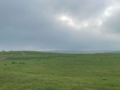 -空中草原