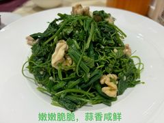 -凯鸽酒楼•雁北民间菜(华北星店)