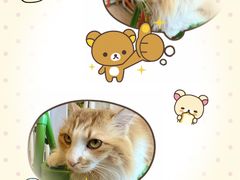 -氷冰凉刨冰甜品(北京路店)