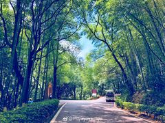 -石燕湖生态旅游景区