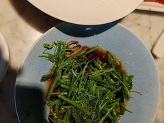翡翠丝瓜尖-雀蓝川菜(奥体广场店)