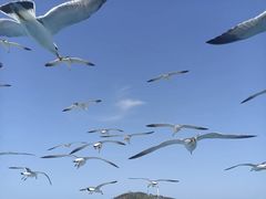 -海驴岛(荣成市)