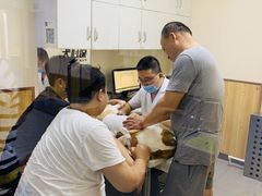 -瑞派宠物医院·24h·骨外科·皮肤科·全科宠物医疗转诊中心(沈阳浑南院)