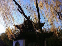 景点-陶然亭公园