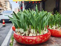 -溪岸路花鸟市场