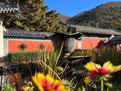-潭柘寺景区