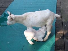 -白塘生态植物园