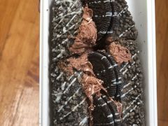 -奈雪的茶(金地广场店)