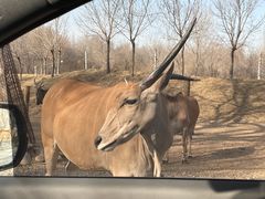 -北京野生动物园