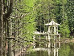 -四明山国家森林公园