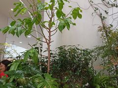 -大树餐厅(红旗街万达店)