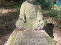 -武陵山森林公园