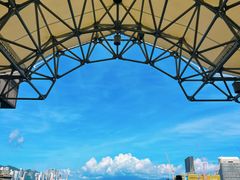 -Cupping Room(Harbour City)