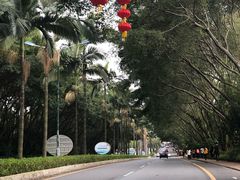 -南国桃园旅游度假区