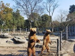 -常州淹城野生动物世界