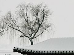 -颐和园