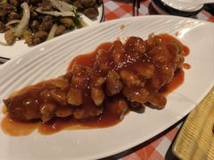 -邵年鸽(杨庄店)