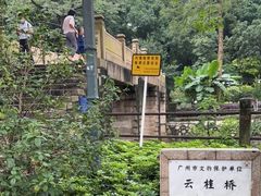 -晓港公园