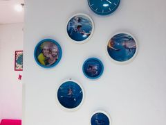 -乐游宝宝亲子游泳(徐汇中心)