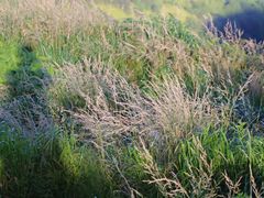 -萍乡武功山风景名胜区