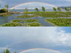 -洱海月湿地公园