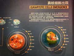 -湖南省地质博物馆