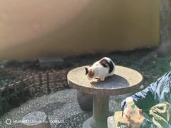 -西园寺