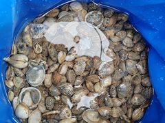 -天津东疆湾沙滩景区