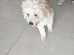 -爱诺耐芙动物医院(万博店)