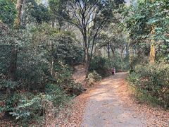 -岳麓山风景名胜区