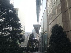 -乐天免税店(明洞店)