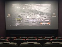 -幸福蓝海国际影城(河西店)