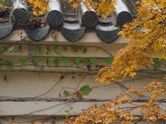 -东湖磨山景区