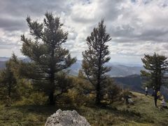 -芦芽山旅游度假区