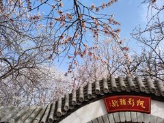 -桃花堤公园
