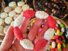 -大象粑粑造纸公园